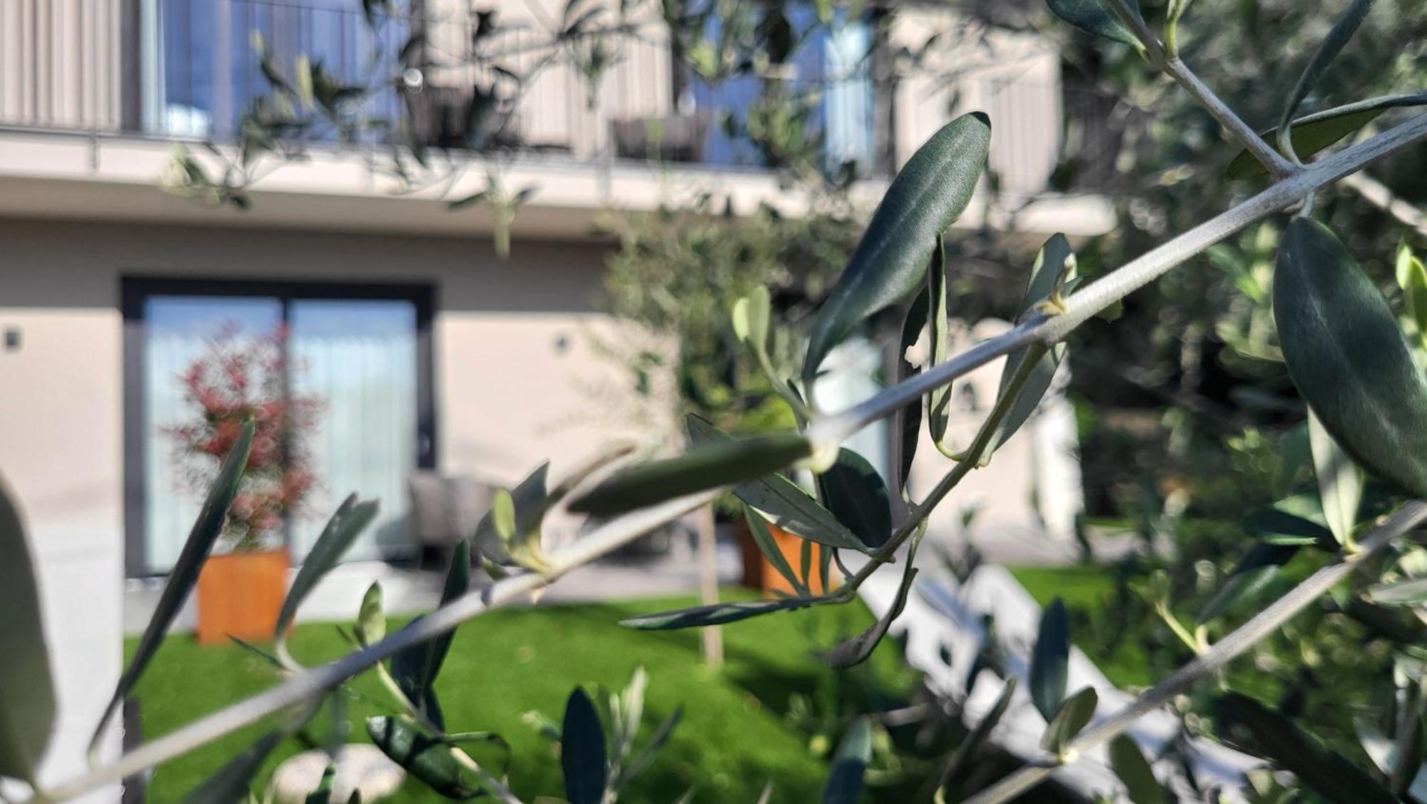 Attilio High Living Suites - Adults Only Torri Del Benaco Esterno foto